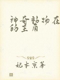 神奇动物在哪里的主角