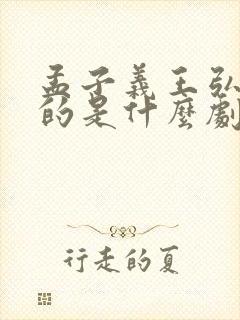 孟子义王弘毅演的是什么剧