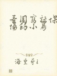 看图写话保护受伤的小鸟