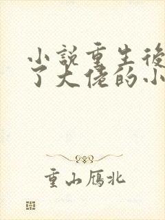 小说重生后我成了大佬的小心肝阅读