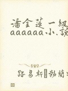 潘金莲一级淫片aaaaaa小.说