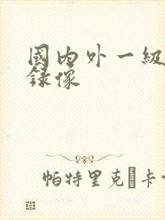 国内外一级黄色录像