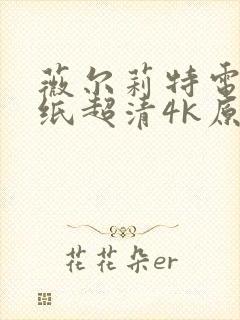 薇尔莉特电脑壁纸超清4k原图