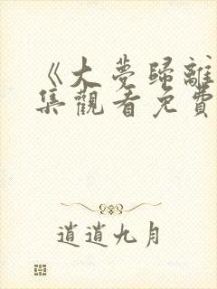 《大梦归离》全集观看免费