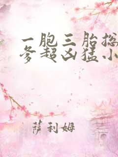 一胞三胎总裁爹爹超凶猛小说免费阅读