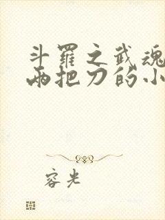 斗罗之武魂是双两把刀的小说