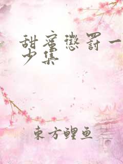 甜蜜惩罚一共多少集