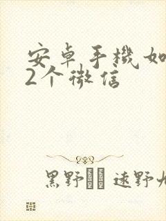 安卓手机如何下2个微信