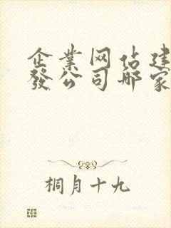 企业网站建设开发公司哪家好