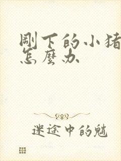 刚下的小猪拉稀怎么办