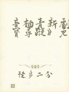 辛柏青新剧《护宝寻踪》免费观看