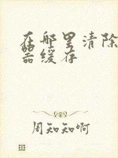 在哪里清除浏览器缓存