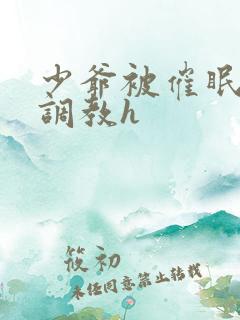 少爷被催眠玩弄调教h