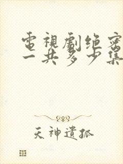 电视剧绝密较量一共多少集