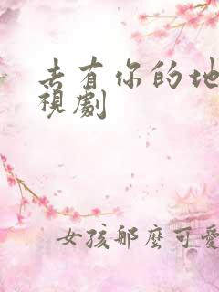 去有你的地方电视剧