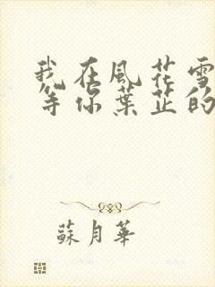 我在风花雪月里等你叶芷的孩子