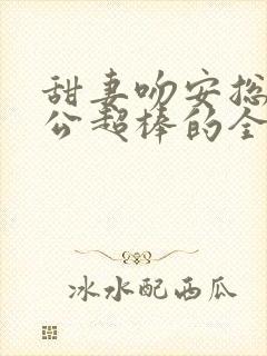 甜妻吻安总裁老公超棒的全文免费