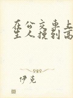 在公交车上被陌生人摸到高潮小说