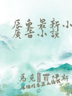 辰东最新小说无广告小说