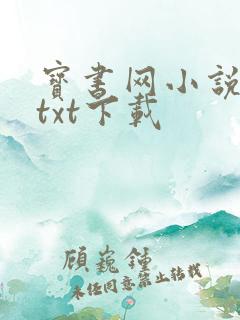 宝书网小说免费txt下载