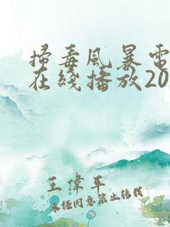 扫毒风暴电视剧在线播放2025
