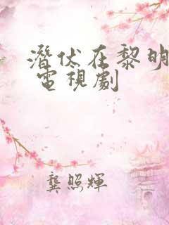 潜伏在黎明之前 电视剧