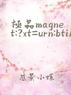 极品magnet:?xt=urn:btih