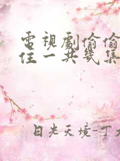 电视剧偷偷藏不住一共几集呀