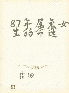 87年属兔女一生的命运