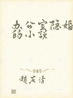 办公室隐婚轻黯的小说