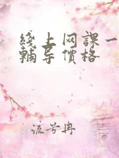 线上网课一对一辅导价格