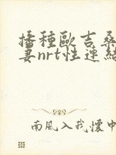 播种欧吉桑和人妻nrt性连结