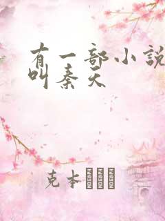 有一部小说主角叫秦天