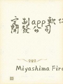 定制app软件开发公司