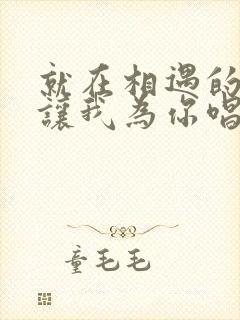 就在相遇的时刻让我为你唱首歌