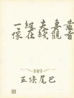 一级夫妻黄色录像在线观看