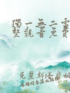 独一无二电影完整观看免费