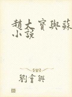 赵大宝与苏媚的小说