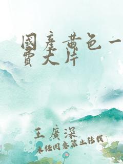 国产黄色一级免费大片