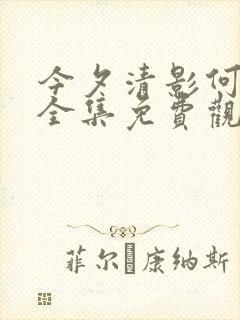 今夕清影何处寻全集免费观看