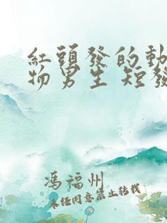 红头发的动漫人物男生 短发寸头