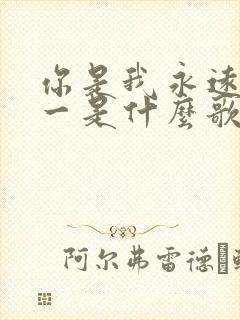 你是我永远的唯一是什么歌的歌词