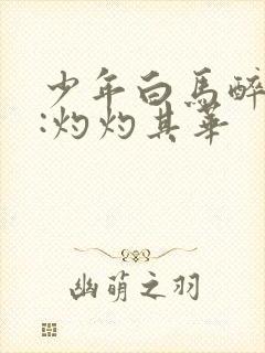 少年白马醉春风:灼灼其华