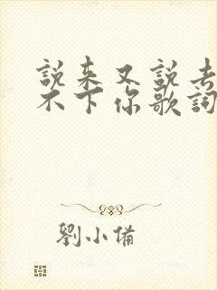 说来又说去还放不下你歌词