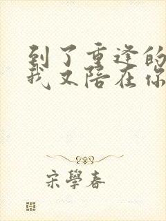 到了重逢的时候我又陪在你左右是什么歌