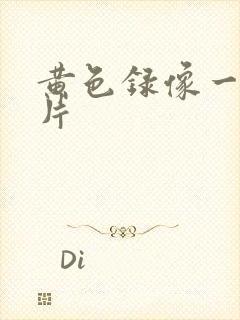 黄色录像一级一片