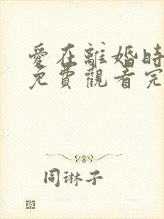 爱在离婚时短剧免费观看完整版