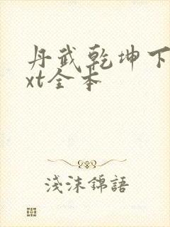 丹武乾坤下载txt全本