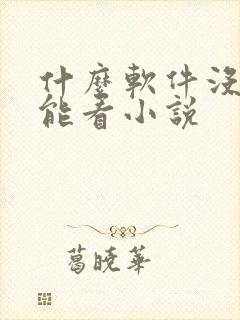 什么软件没网也能看小说