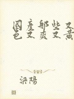 国产那些又粗又色又爽又黄的视频